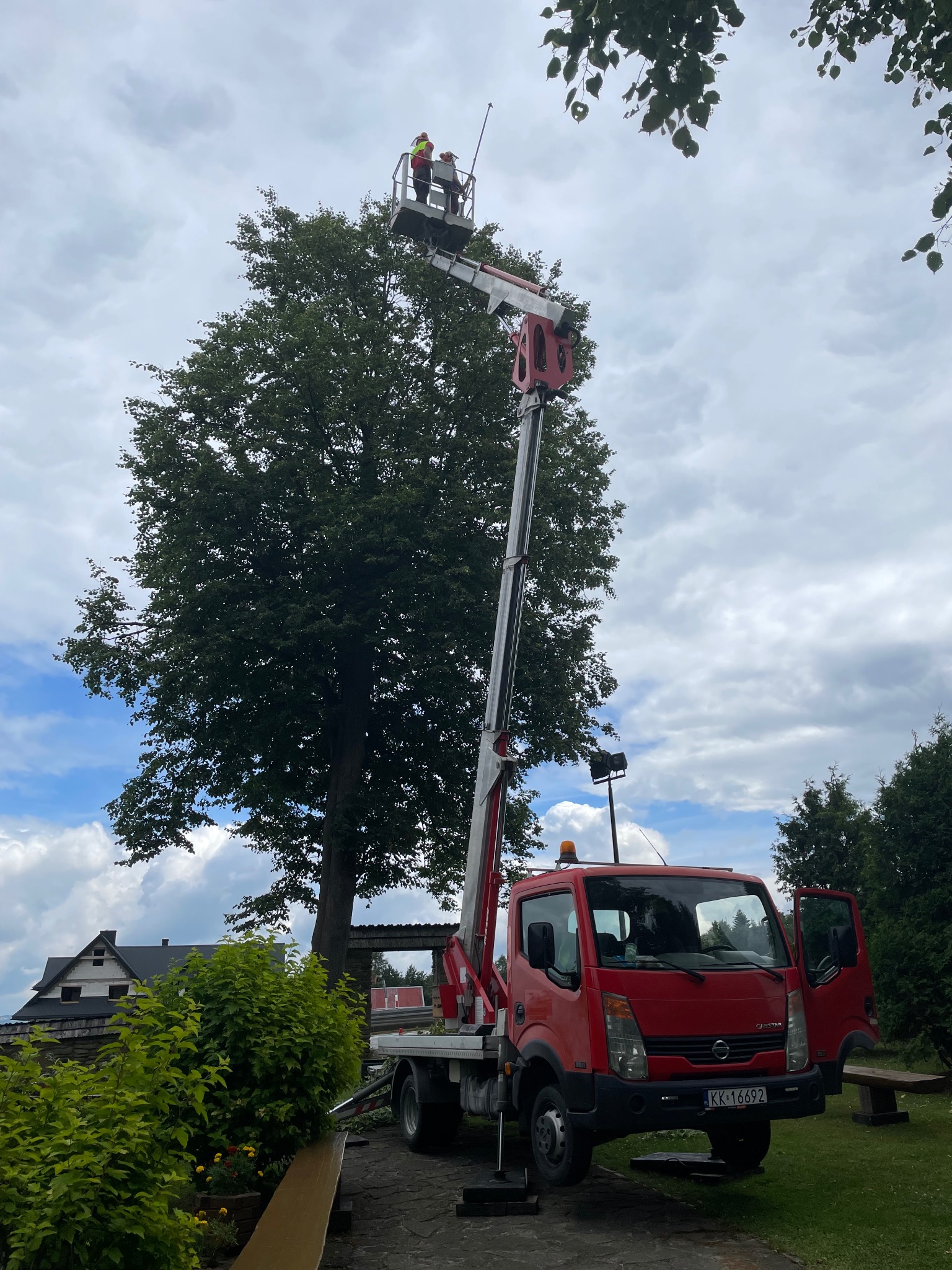 Czerwony podnośnik koszowy z dwoma pracownikami przycinającymi koronę drzewa liściastego. W tle budynek i zachmurzone niebo.