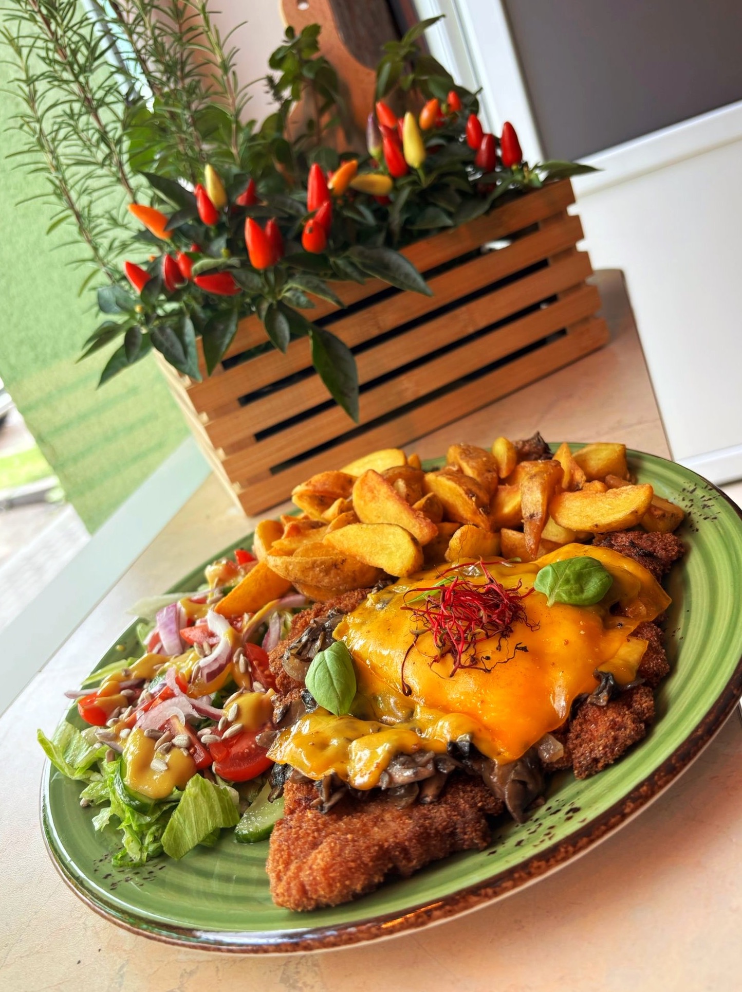 Apetyczny sznycel z serem, grzybami, frytkami i sałatką na zielonym talerzu, w tle doniczka z papryczkami chili.