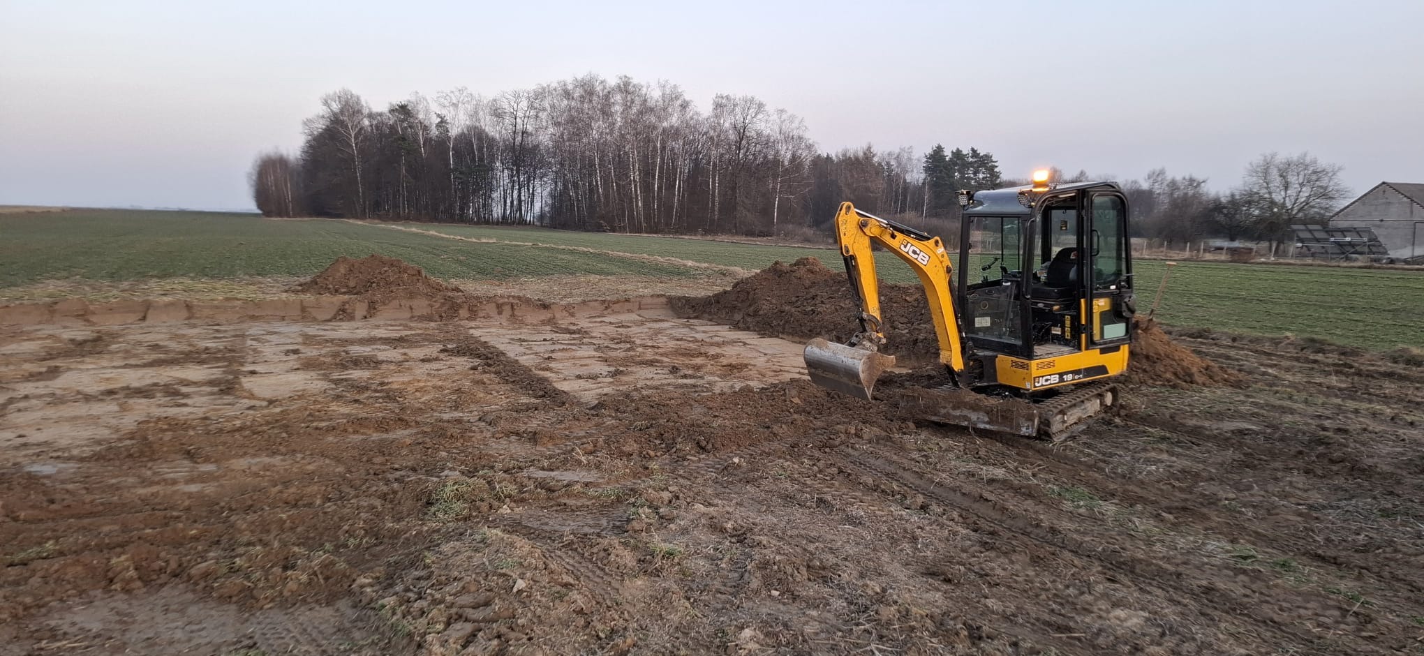 Żółta minikoparka JCB 19C-1 na polu z wykopem, w tle drzewa i zabudowania. Wykop świeży, z pryzmami ziemi po bokach. Praca w toku, oświetlenie robocze włączone.
