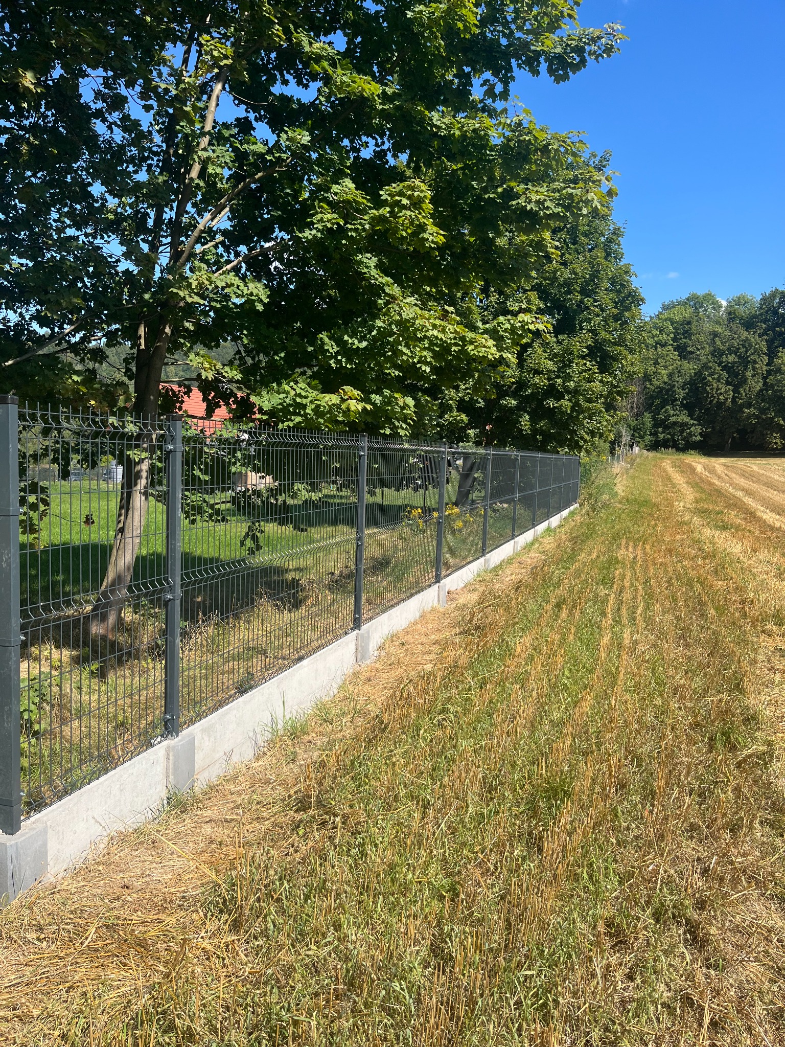 Nowoczesne ogrodzenie panelowe w kolorze grafitowym, osadzone na betonowej podmurówce, oddziela posesję od pola. Widok w słoneczny dzień.
