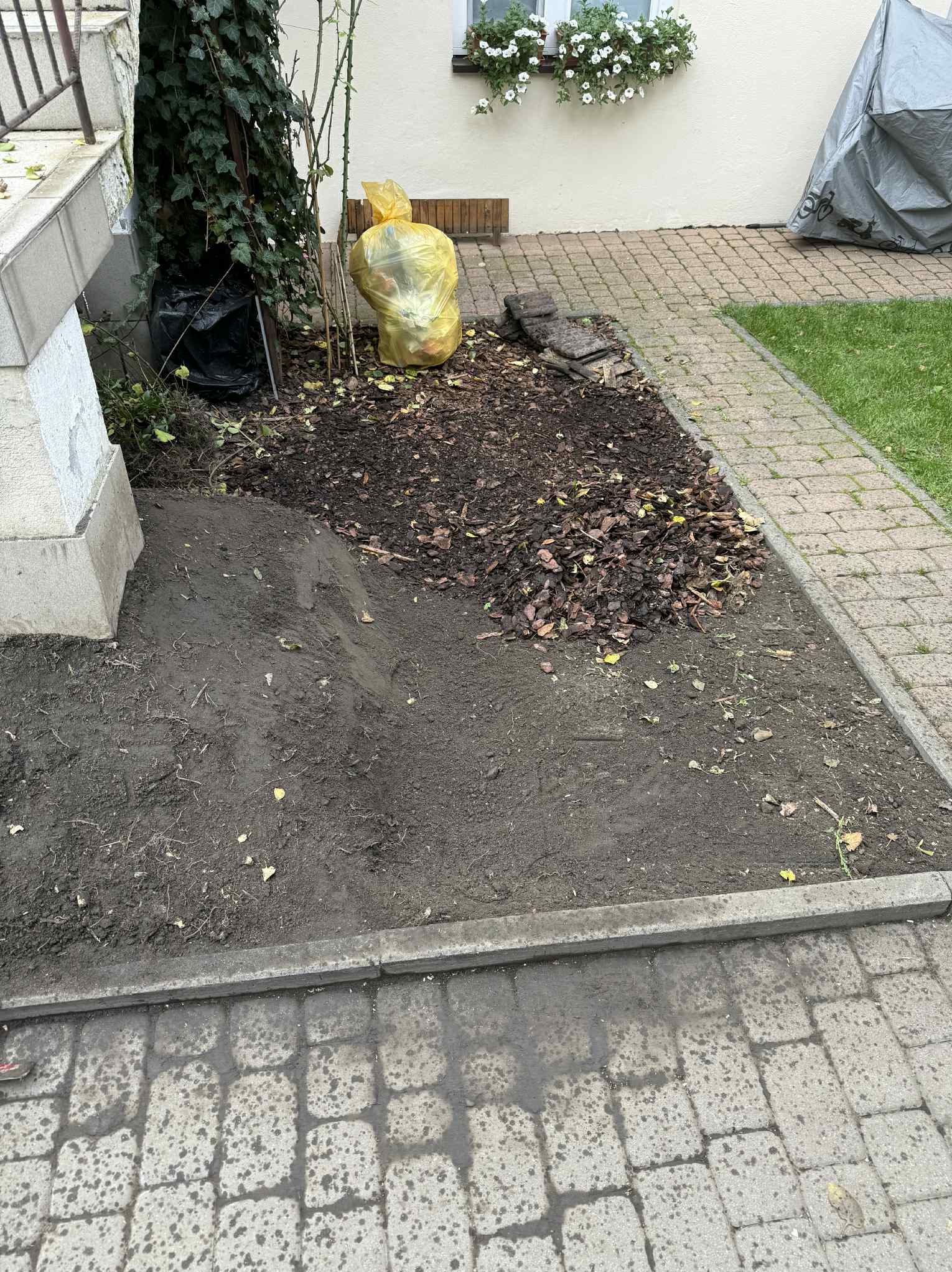 Przygotowany teren pod ogród: wyczyszczona ziemia, usunięte liście i gałęzie, worki ze śmieciami obok. Widoczne kostki brukowe i fragment trawnika.