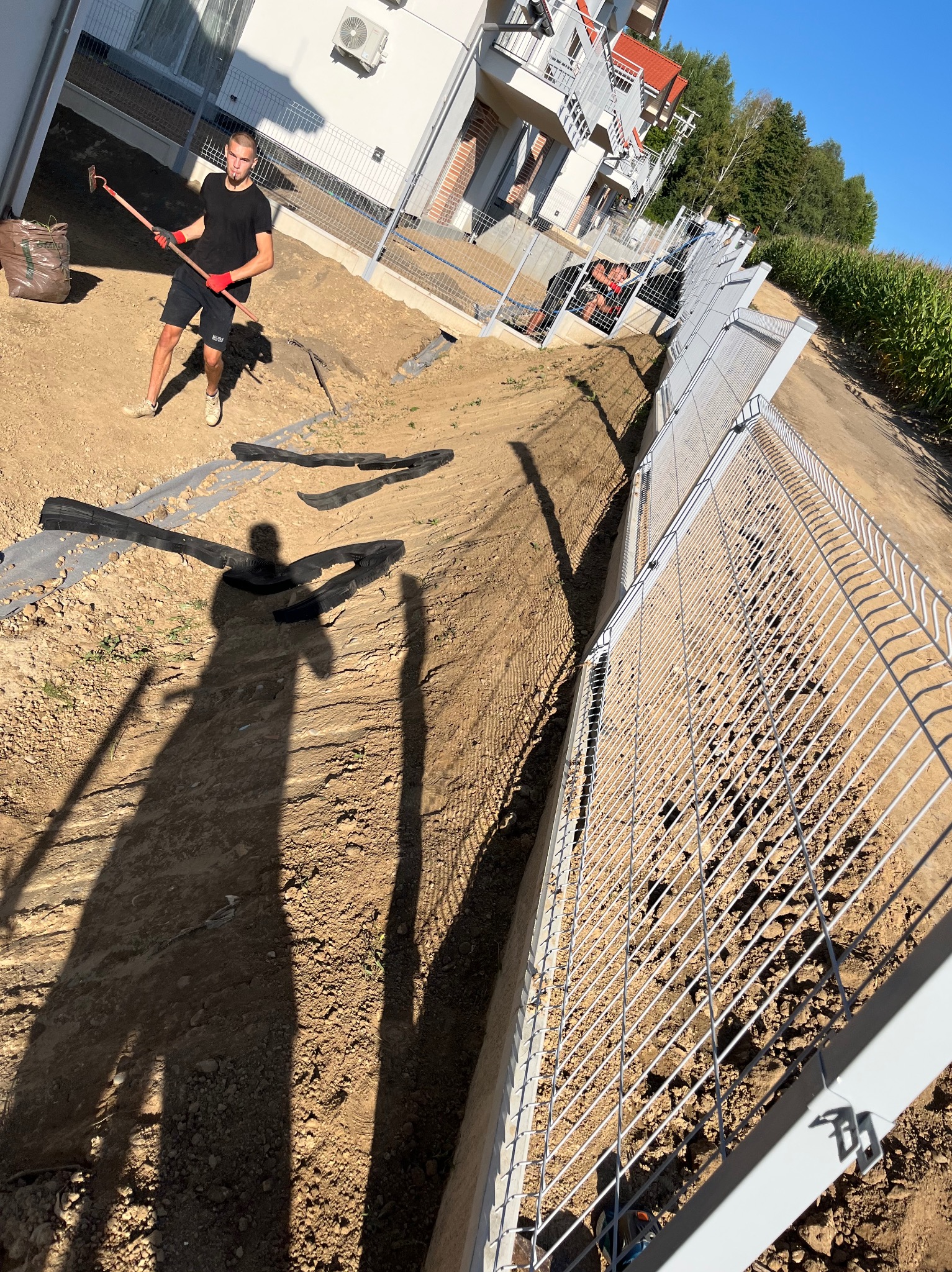 Mężczyzna z motyką przygotowuje teren pod ogrodzenie panelowe. Widoczny fragment budynku i pole kukurydzy w tle. Długi cień na ziemi.