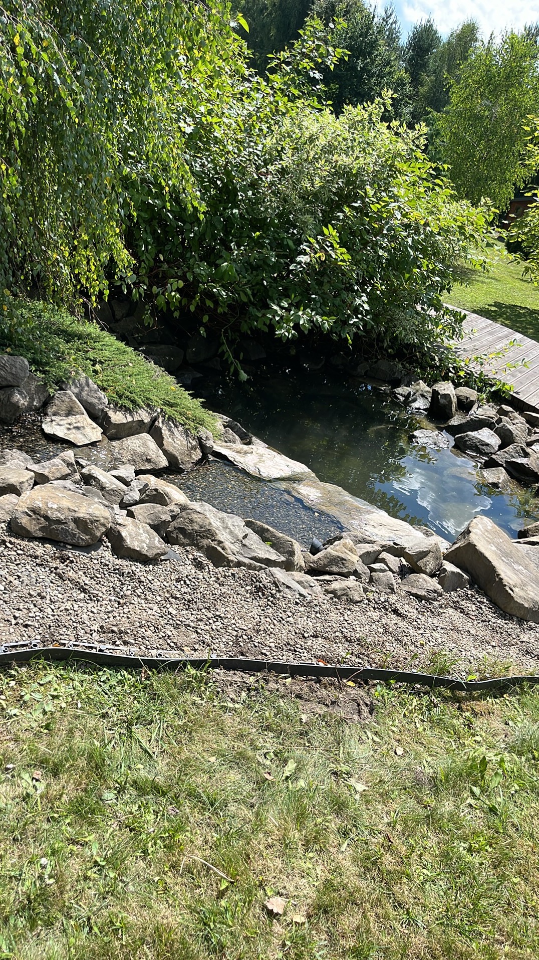 Oczko wodne z kamieniami i roślinnością w ogrodzie. Widoczne małe kamyczki, trawa, drzewa i fragment drewnianego chodnika. Słoneczny dzień.