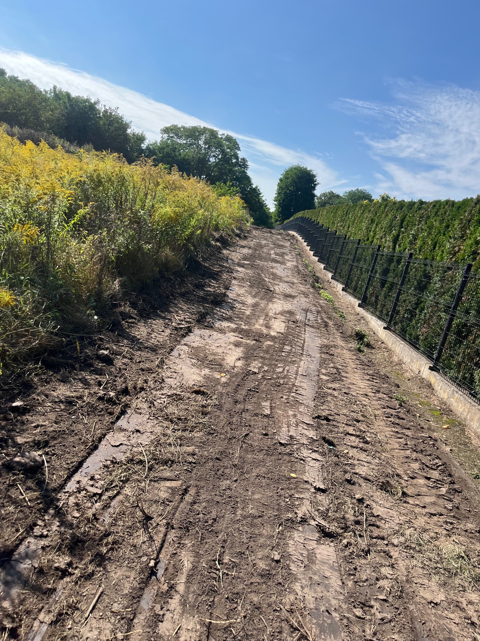 Ścieżka z ubitej ziemi wzdłuż ogrodzenia z siatki, z roślinnością po bokach i niebem w tle, nosząca ślady opon, sugerująca prace ziemne lub przygotowanie terenu.