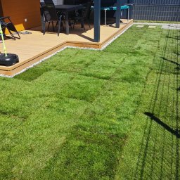 Montaż ogrodzeń Wrocław 1