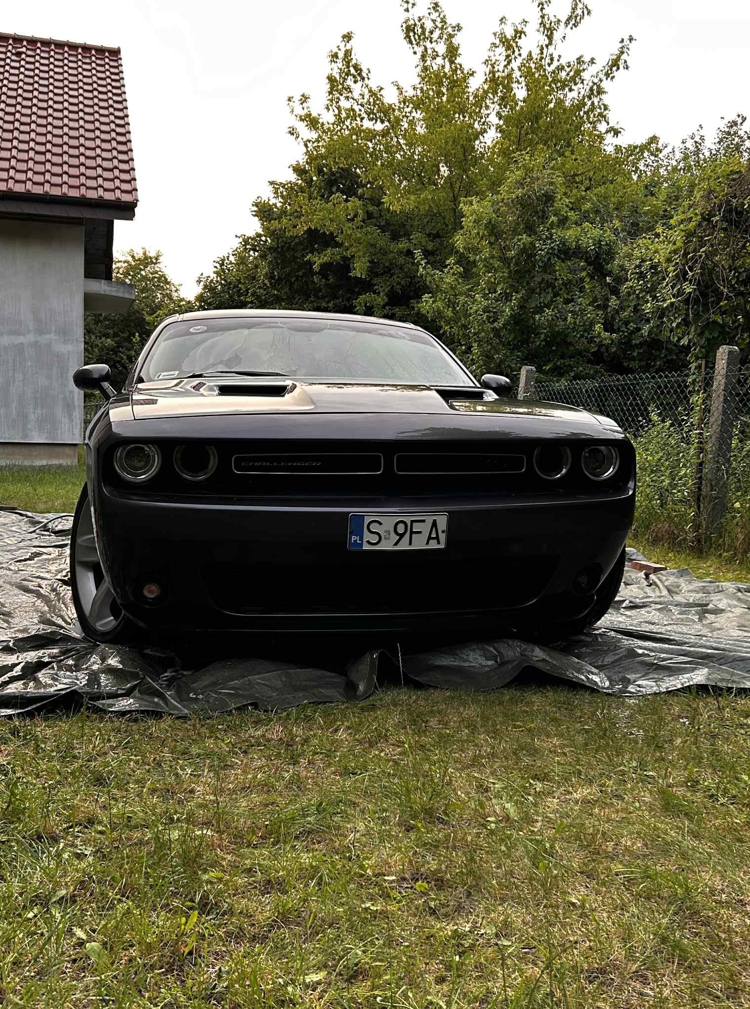 Czarny Dodge Challenger, z polską tablicą rejestracyjną, zaparkowany na trawie, zabezpieczony folią ochronną. Auto przed zabiegami auto detailingu.