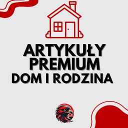 Projektowanie stron internetowych Pasłęk 4