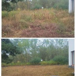 Pure House Marta Wielgomasz - Zdjęcie 'przed i po' koszenia zaniedbanego trawnika z wysoką trawą. Na drugim planie widoczny jest metalowy płot i drzewa.