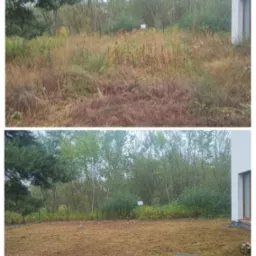 Zdjęcie 'przed i po' koszenia zaniedbanego trawnika z wysoką trawą. Na drugim planie widoczny jest metalowy płot i drzewa.