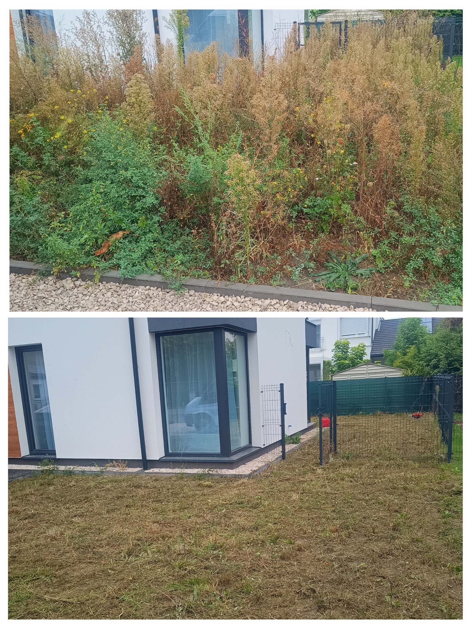 Zdjęcie 'przed i po' koszenia trawy: zaniedbany ogród z wysoką trawą i chwastami kontra krótko przystrzyżony trawnik przy nowoczesnym domu z szarą kostką.