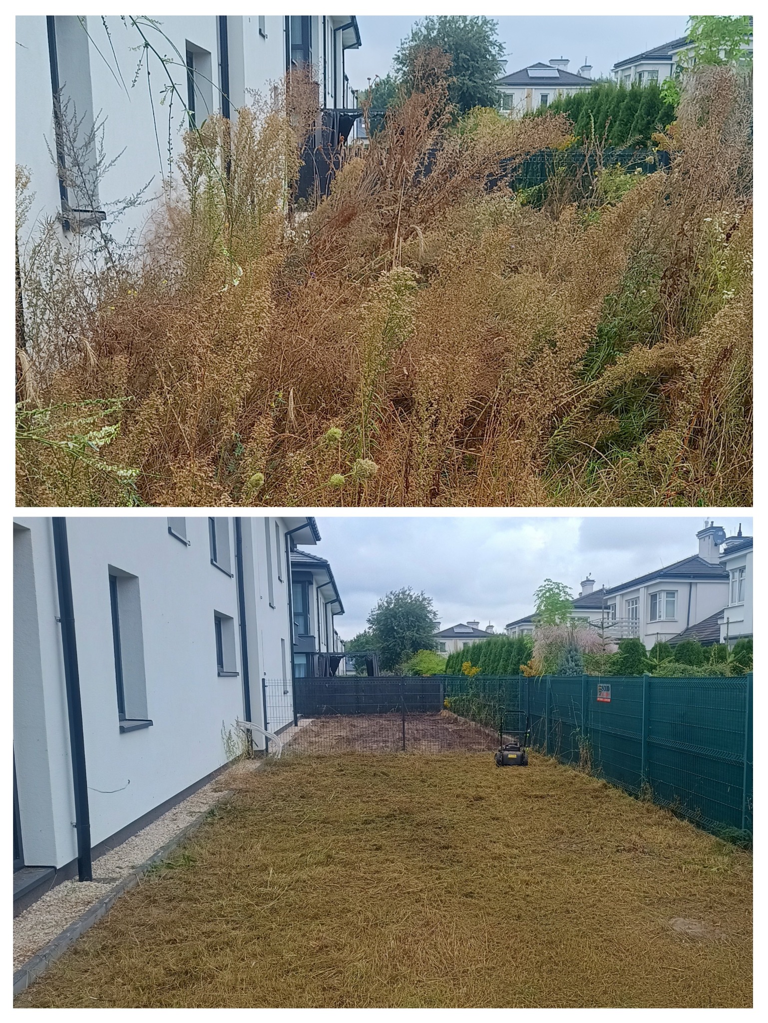 Zdjęcie 'przed i po': Zarośnięty ogród przed domem, a następnie skoszony trawnik z widoczną kosiarką. Biały budynek z oknami w tle.