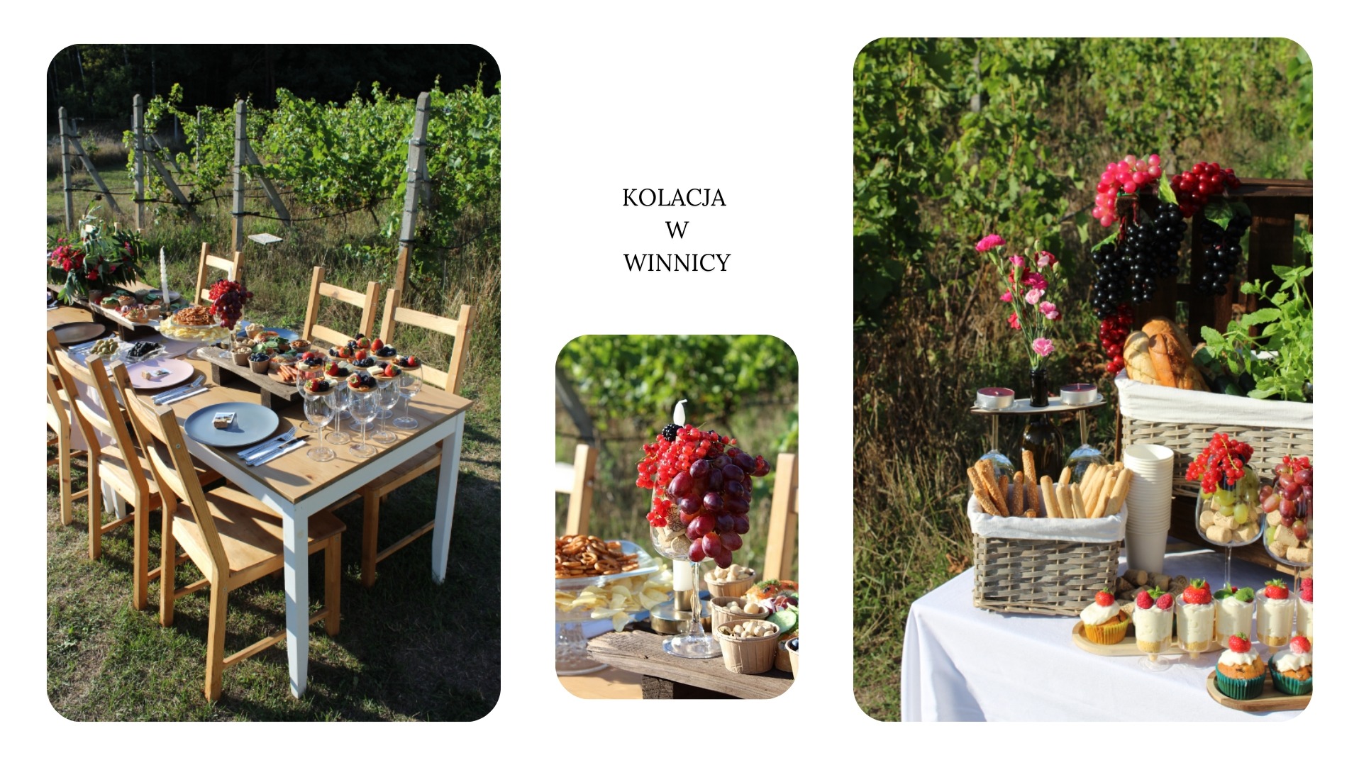 Stół z przekąskami i dekoracjami w winnicy, przygotowany na plenerową kolację. Widoczne krzewy winorośli w tle. Ustawione nakrycia i szklanki.