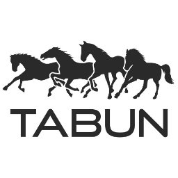 TABUN - Transport i Logistyka - Transport Drogowy Mielec