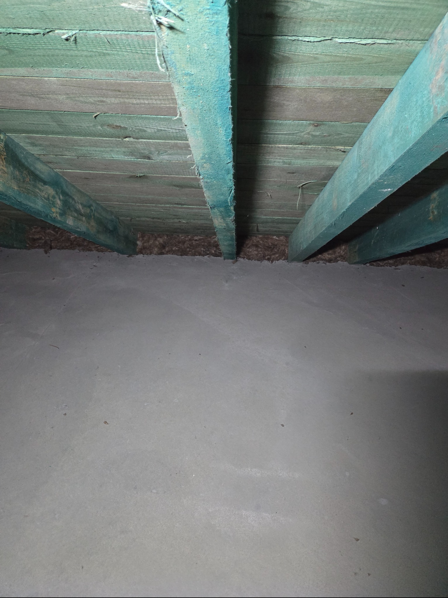 Poddasze z widocznymi, pomalowanymi na niebiesko belkami stropowymi i ociepleniem wełną mineralną. Szara, betonowa podłoga. Ujęcie od dołu, z perspektywy podłogi.