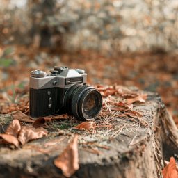 Fotograf ślubny Krzeszowice 3