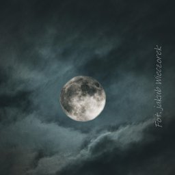 Fotograf ślubny Krzeszowice 1