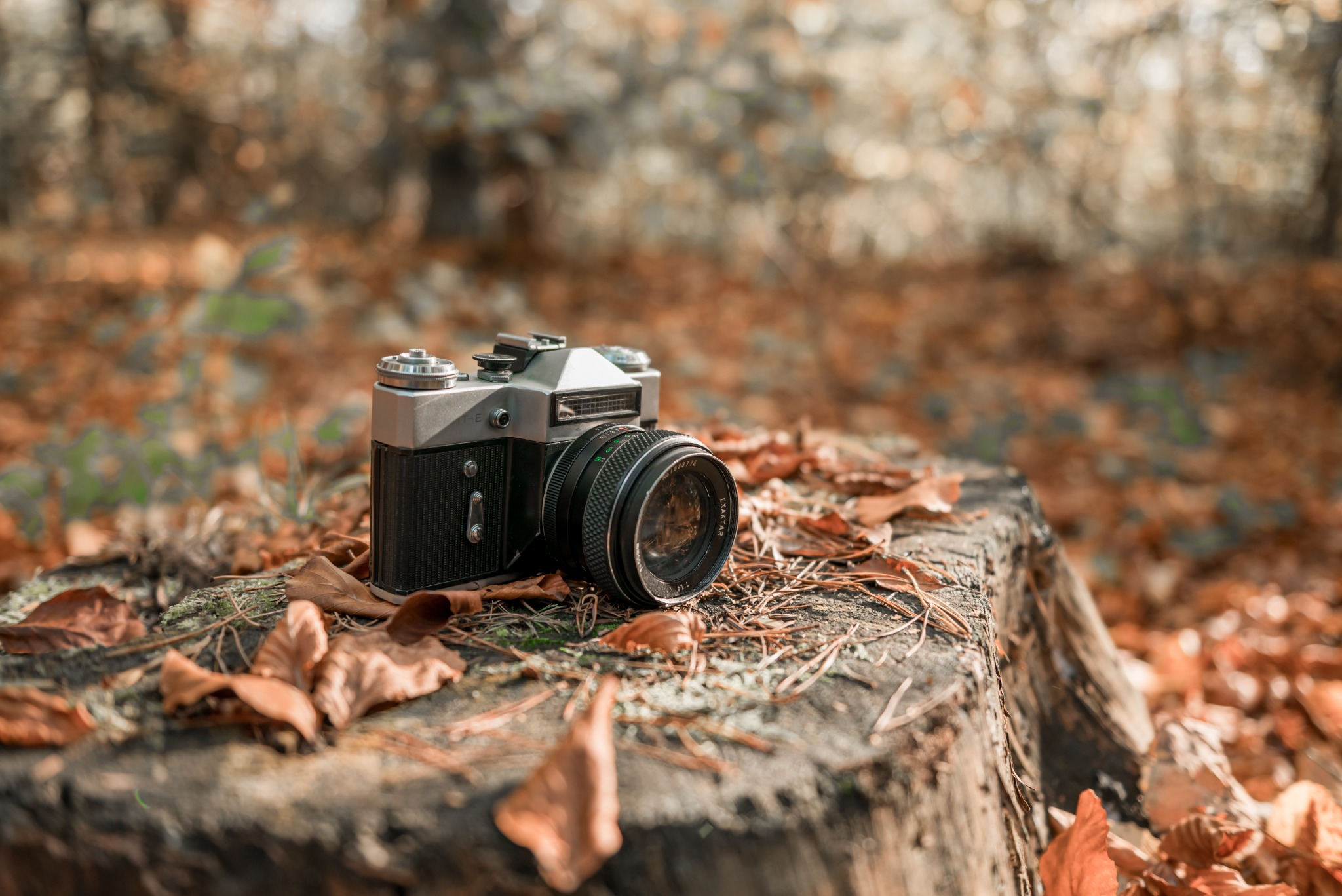 Analogowy aparat fotograficzny Exakta, obiektyw skierowany w prawo, leżący na pniu drzewa, otoczony opadłymi liśćmi w jesiennej scenerii.