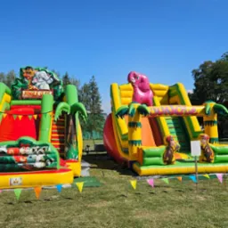 Dwa dmuchane place zabaw 'Jungle Slide' na trawie, z motywami zwierząt dżungli i kolorowymi girlandami, pod błękitnym niebem. Park rozrywki.