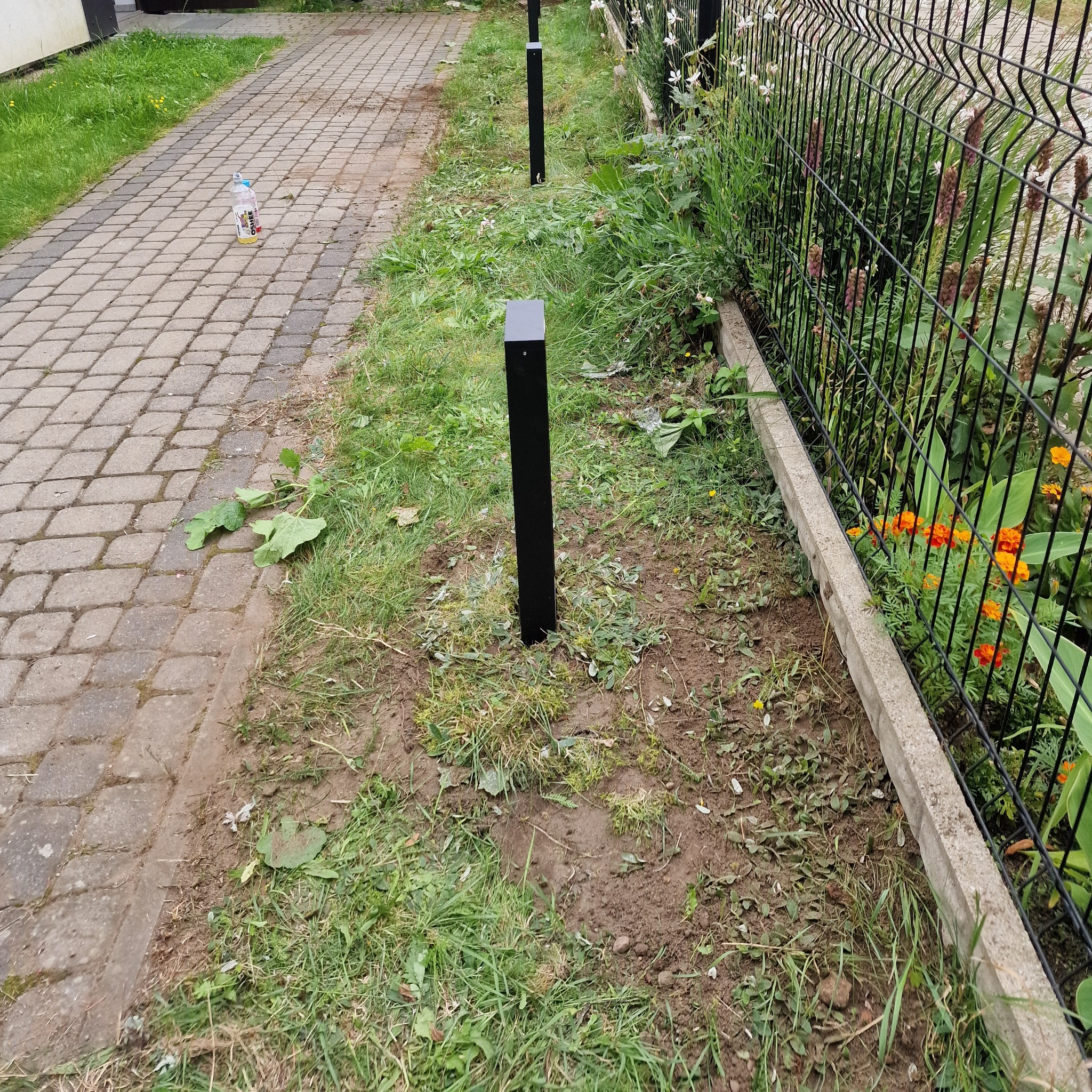 Montaż lamp ogrodowych wzdłuż chodnika i ogrodzenia. Czarny, minimalistyczny słupek oświetleniowy na trawniku. Widoczne kwiaty i kostka brukowa.