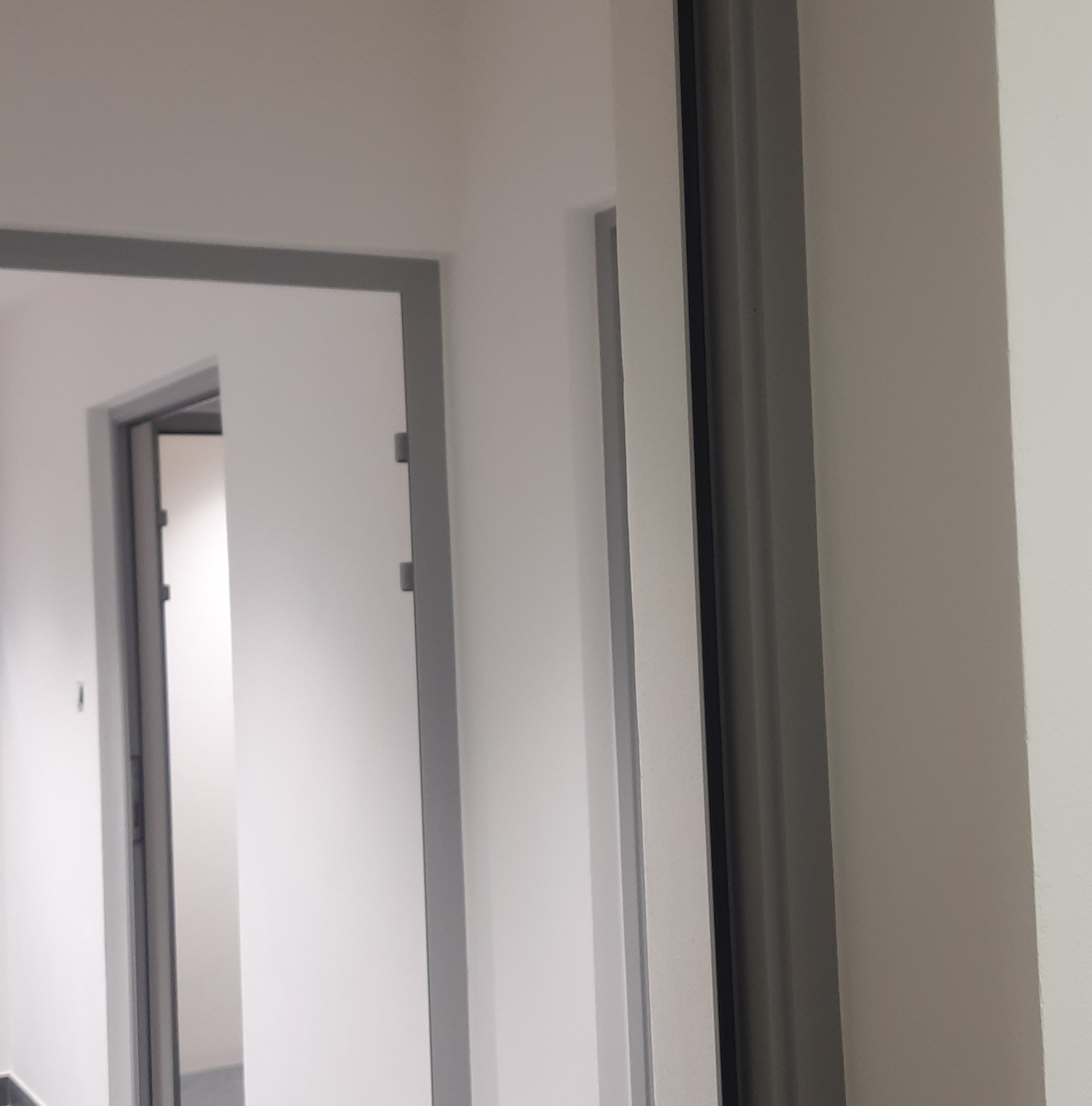 Białe drzwi z szarą ościeżnicą w jasnym pomieszczeniu. Widoczny fragment ściany i korytarza. Minimalistyczny design.