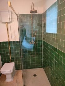 Nowoczesna kabina prysznicowa z zieloną glazurą, szklanymi drzwiami i złotą armaturą. Widoczna toaleta w tle. Minimalistyczny design.