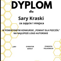 Są to wykonane przeze mnie dyplomy na szkolny konkurs 