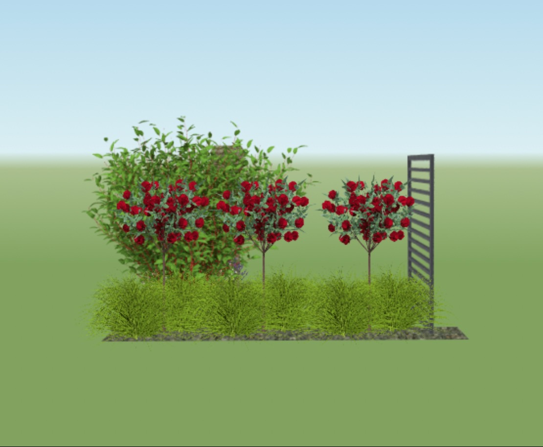 Wizualizacja nr 4 - fragment zieleni reprezentacyjnej przed wejściem do domu