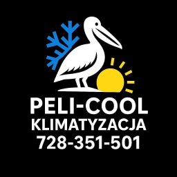 Peli-Cool klimatyzacja Dawid Bukowski - Instalacje Wyki
