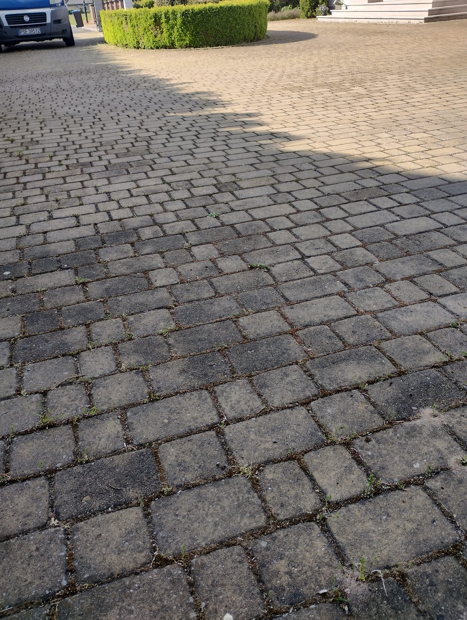 Częściowo wyczyszczona kostka brukowa na podjeździe, widoczna różnica w kolorze, zarośnięte fugi, krzewy w tle. Fragment samochodu po lewej stronie.