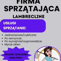Lambreclean - Czyszczenie Dywan&oacute;w Warszawa