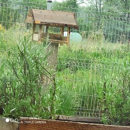 KAZEK - Parkieciarstwo Wrocław