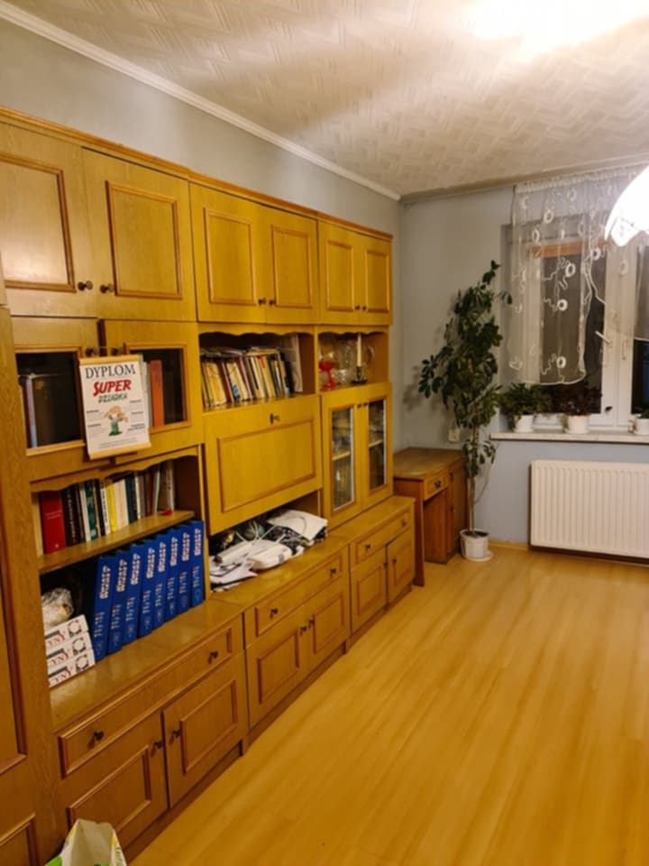 Jasne, drewniane meble na ścianie w pokoju z szarą ścianą i rośliną doniczkową przy oknie. Na meblach książki i dekoracje.