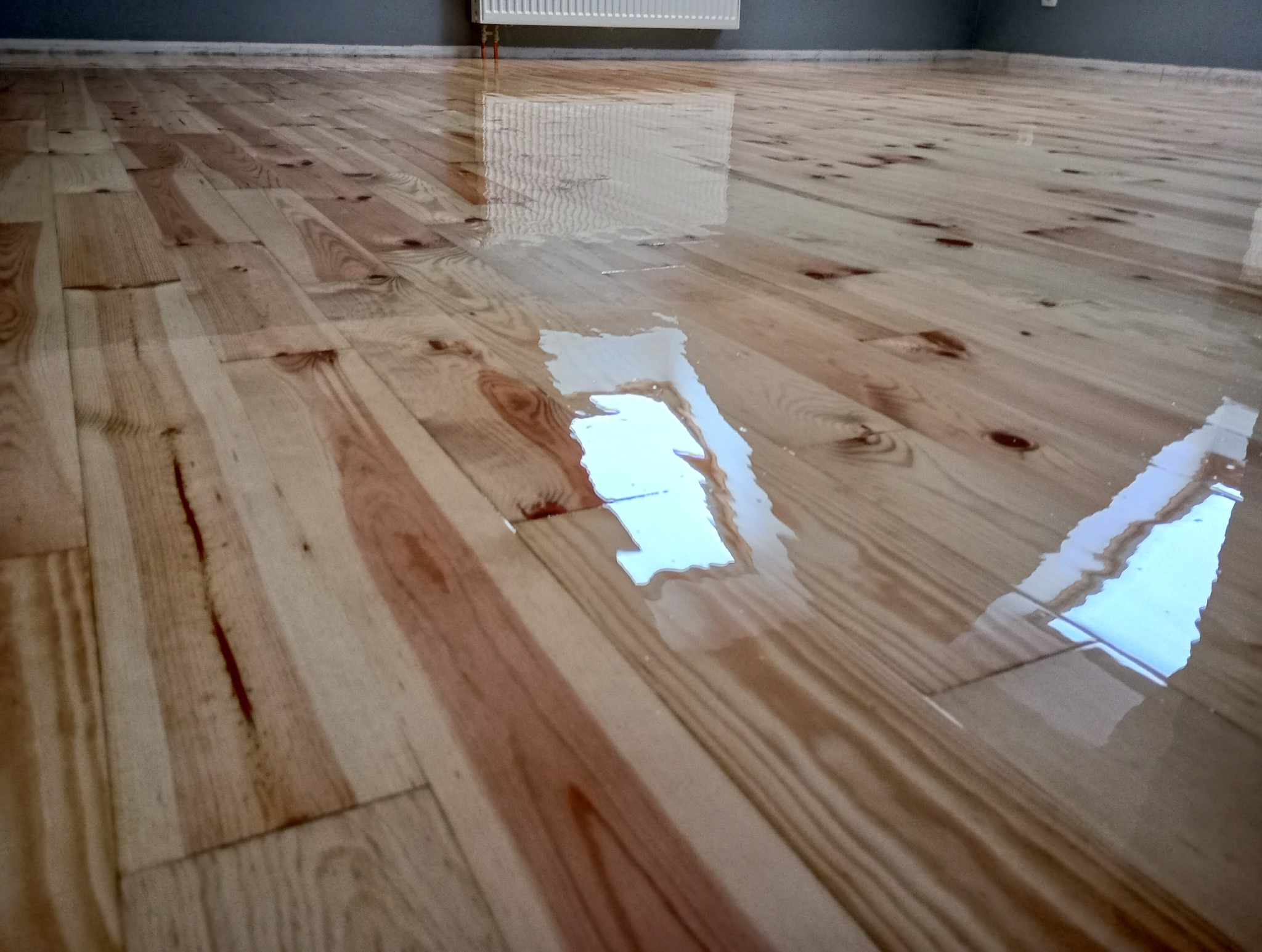 Błyszcząca, lakierowana podłoga z jasnego drewna, z widocznym odbiciem okna i kaloryfera. Świeżo położony lakier, podkreślający rysunek słojów.