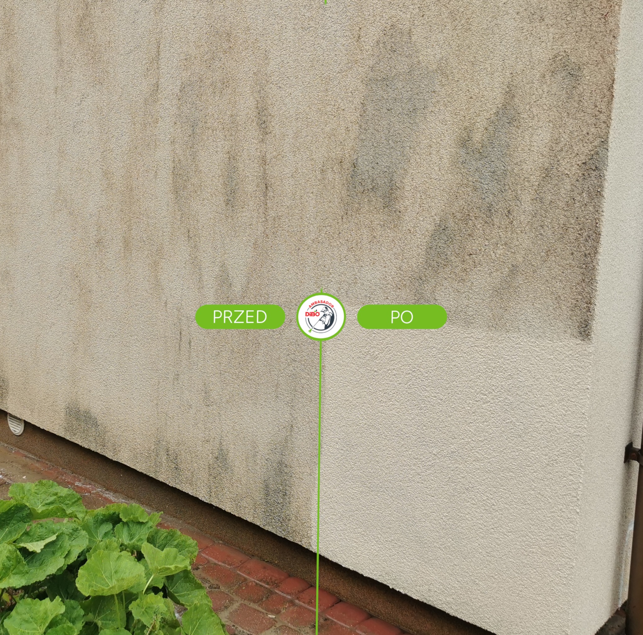Elewacja budynku z wyraźnym podziałem na część wyczyszczoną i zabrudzoną, efekt 'przed i po' z logo firmy na środku. Widoczne rośliny przy budynku.