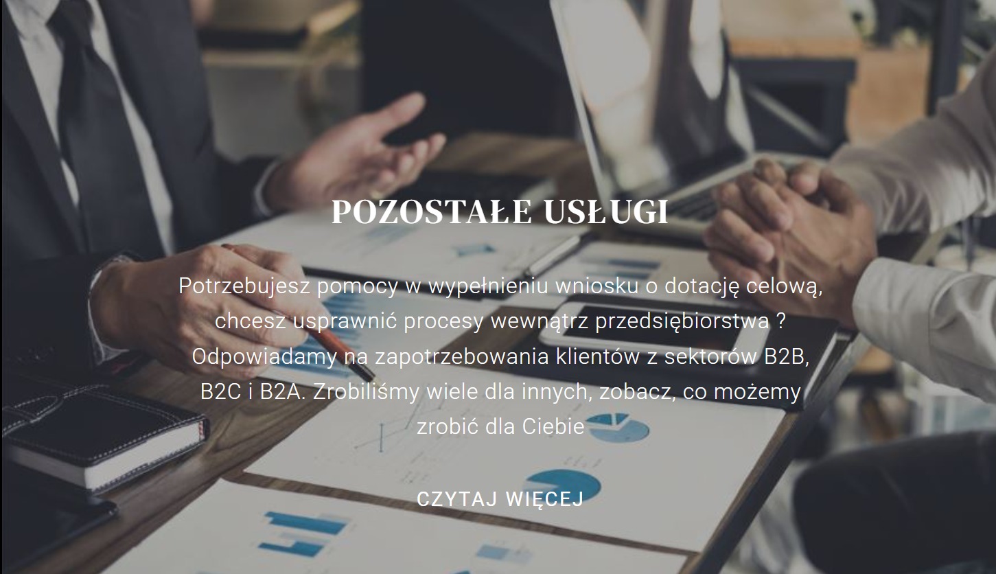 Spotkanie biznesowe: analiza danych, wnioski o dotacje. Dwóch mężczyzn w garniturach przy stole z laptopem i dokumentami. Konsultacje B2B, B2C, B2A.