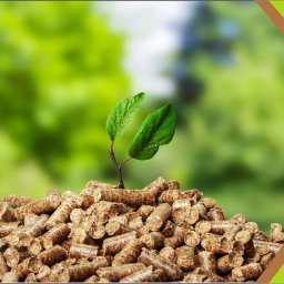 KRYSTIAN KRYSZTOFOWICZ "TERMO-TECHNIKA" - Pelet Konin