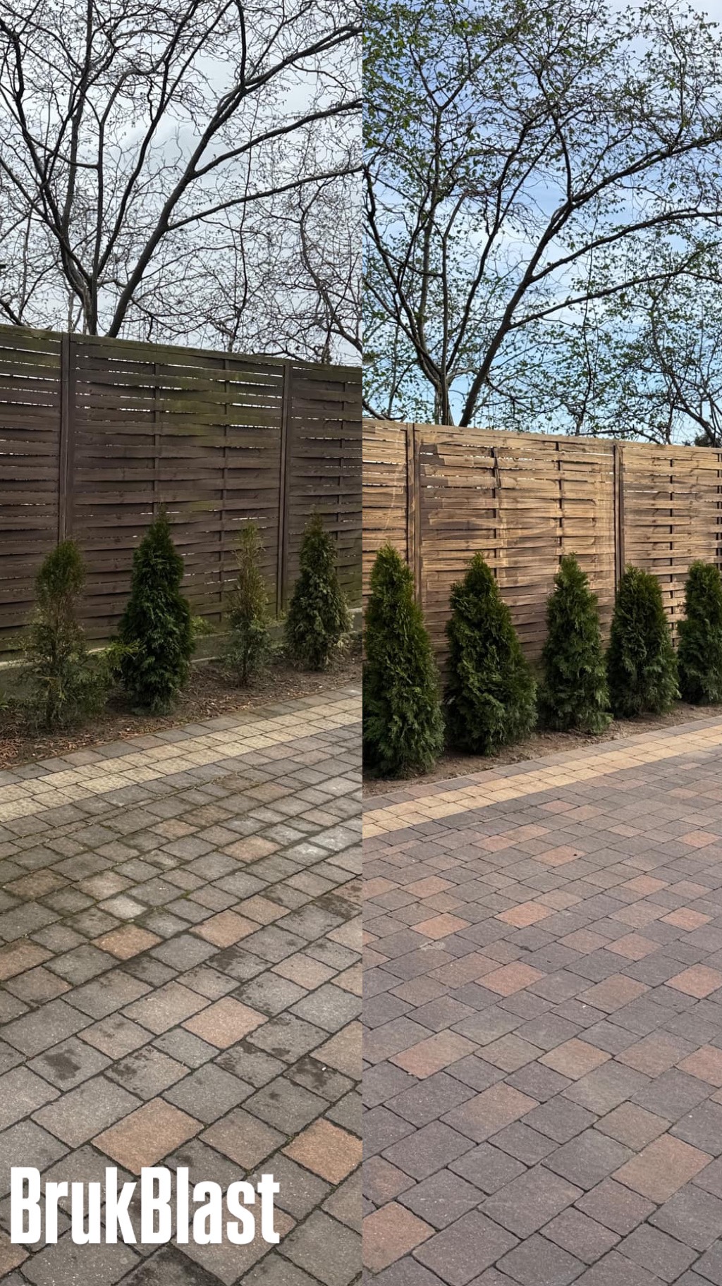 Efekt 'przed i po' czyszczenia kostki brukowej na posesji z drewnianym płotem i tujami. Po lewej brudna kostka, po prawej wyczyszczona, ukazująca kolor i wzór.