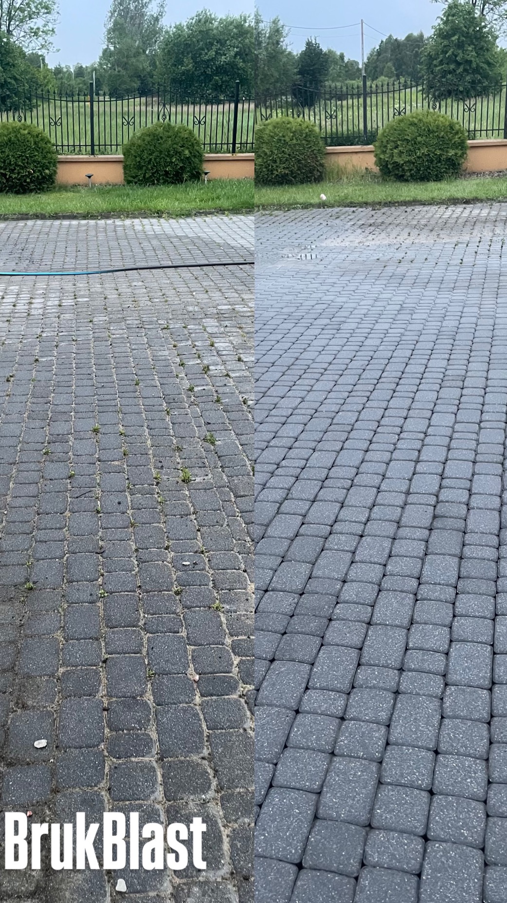 Kostka brukowa przed i po czyszczeniu. Lewa strona brudna, porośnięta chwastami, prawa wyczyszczona, mokra, z widocznym wzorem kostki. Tło: krzewy, płot.