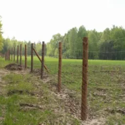 Nowo postawione ogrodzenie z drewnianych słupków i siatki na skraju lasu. Widoczny stos ziemi przy jednym ze słupków.