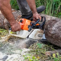 Mężczyzna tnie kłodę piłą spalinową, wióry w powietrzu, widoczne trawy i fragmenty pociętego drewna. Praca w ogrodzie, cięcie drewna.