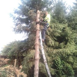 Usługi leśne - Usługi w ogrodzie Gryfice