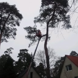Usługi leśne - Usługi w ogrodzie Gryfice