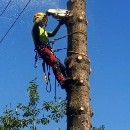 Usługi leśne - Przed domem Gryfice