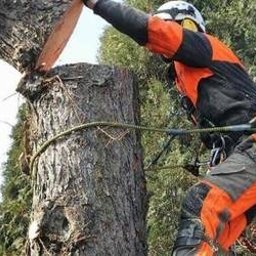 BARTŁOMIEJ KASZAK USŁUGI LEŚNE - Usługi w ogrodzie Gryfice