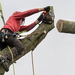 BARTŁOMIEJ KASZAK USŁUGI LEŚNE - Przed domem Gryfice