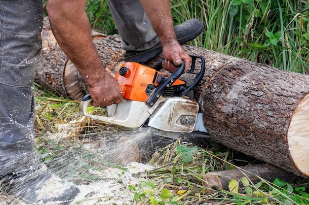 Mężczyzna tnie kłodę piłą spalinową, wióry w powietrzu, widoczne trawy i fragmenty pociętego drewna. Praca w ogrodzie, cięcie drewna.