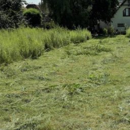 Koszenie trawy Serock 2