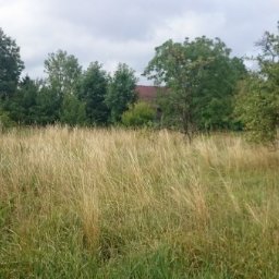 Koszenie trawy Serock 3