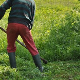 Koszenie trawy Serock 4