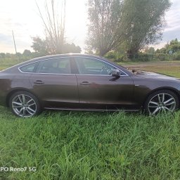 Przewóz osób Witnica 2